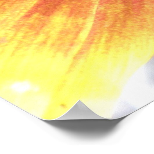 Poster Tournesol orange (Coin)