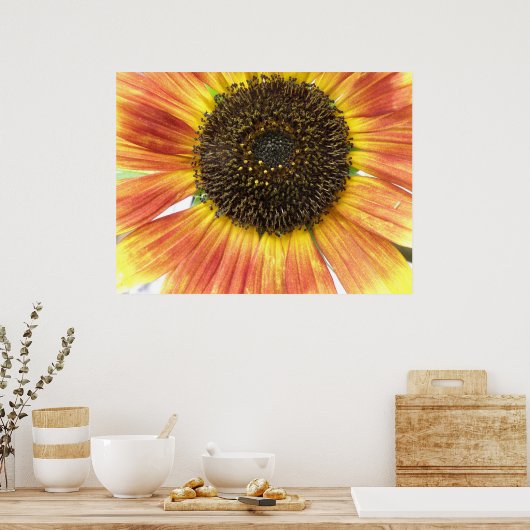 Poster Tournesol orange (Cuisine)