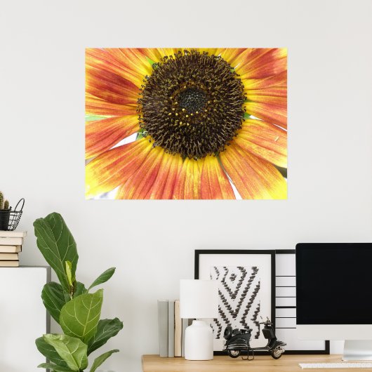 Poster Tournesol orange (Bureau à domicile)