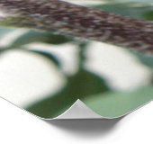 Poster Tournesol rose pâle (Coin)