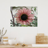 Poster Tournesol rose pâle (Cuisine)