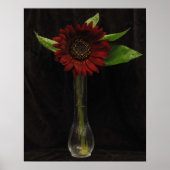 Poster Tournesol rouge unique (Devant)