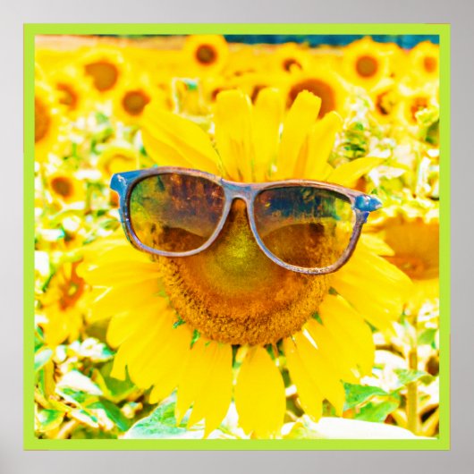 Poster Tournesol Shades Chic (Devant)
