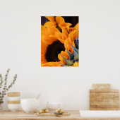 Poster Tournesol Soleil d'Été (Cuisine)