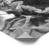 Poster Tournesol souriant floral noir blanc imprimé (Coin)