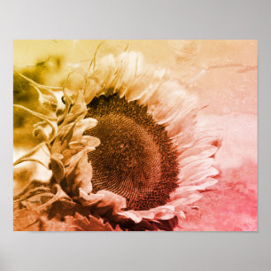 Poster Tournesol Souriant Noir Et Blanc Perdu