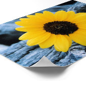 Poster Tournesol sur le journal brûlé (Coin)