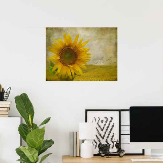 Poster Tournesol unique sur le pâturage de tournesol (Bureau à domicile)