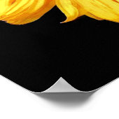 POSTER TOURNESOLS (Coin)