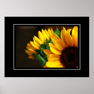 Poster Tournesols