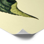 Poster Tournesols Art antique du XVIIe siècle (Coin)