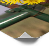 Poster Tournesols communs à la porte (Coin)