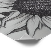 Poster Tournesols dessinés au crayon (Coin)