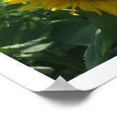 Poster Tournesols et montagnes (Coin)
