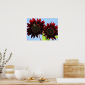 Poster Tournesols Queen Velvet (Cuisine)