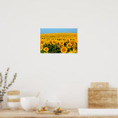 Poster Tournesols sans fin (Cuisine)