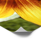 Poster Tournet 3 (Coin)