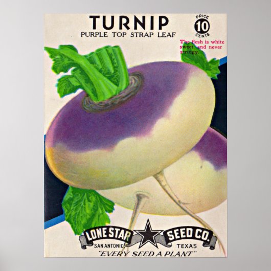 Poster Tournips de paquets de semences des années 1950 (Devant)