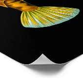 Poster Tourretfish à bosse, Ernst Haeckel Fine Art (Coin)