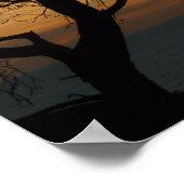 Poster Tourrey Pine Sunset I California Paysage (Coin)