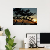 Poster Tourrey Pine Sunset I California Paysage (Bureau à domicile)
