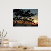 Poster Tourrey Pine Sunset I California Paysage (Cuisine)