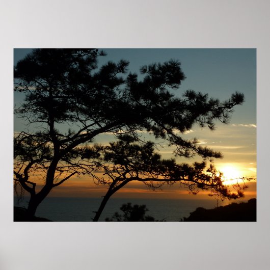 Poster Tourrey Pine Sunset I California Paysage (Devant)