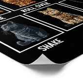 Poster Tours de chat drôles de chats  (Coin)