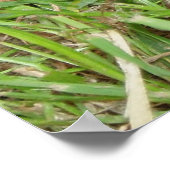 Poster Tourte à boîte orientale Pékin (Coin)