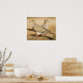 Poster Tourterelle triste (Cuisine)