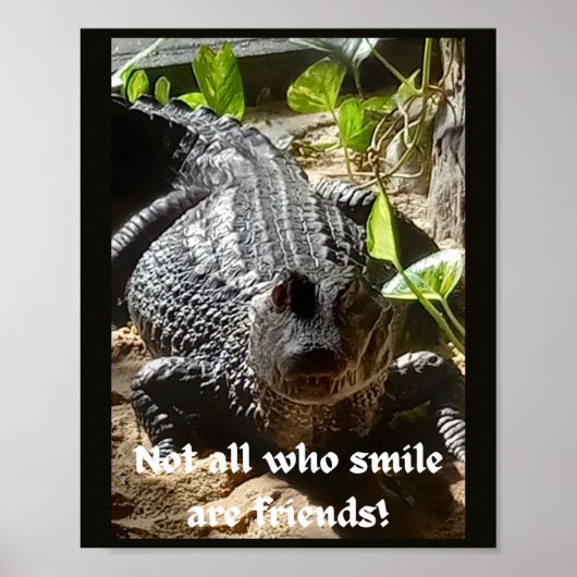 Poster Tous ceux qui sourient ne sont pas l'inspiration d (Devant)