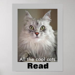 Poster Tous les chats Cool Lire (Poster de l'alphabétisat