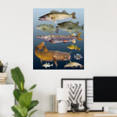 Poster tous les poissons de gibier (Bureau à domicile)