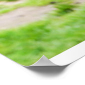 Poster Tous les sourires (Coin)