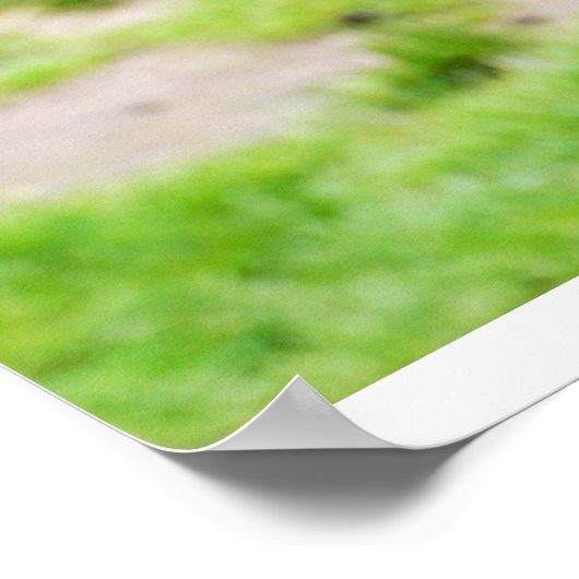 Poster Tous les sourires (Coin)