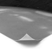 Poster Tout a été enlevé : 1937 (Coin)