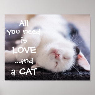 Poster Tout ce dont tu as besoin, c'est d'amour...et un c