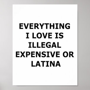 Poster Tout ce que j'aime est illégal, cher ou latino (
