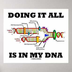 Poster Tout Faire Est Dans Mon ADN (Réplication De L'ADN)