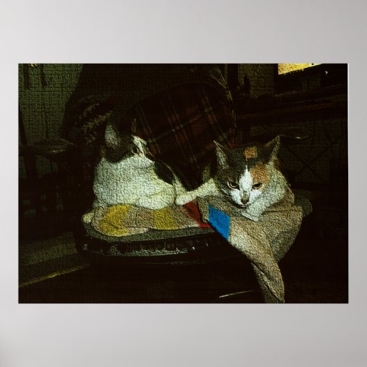 Poster Tout m'appartient (Devant)