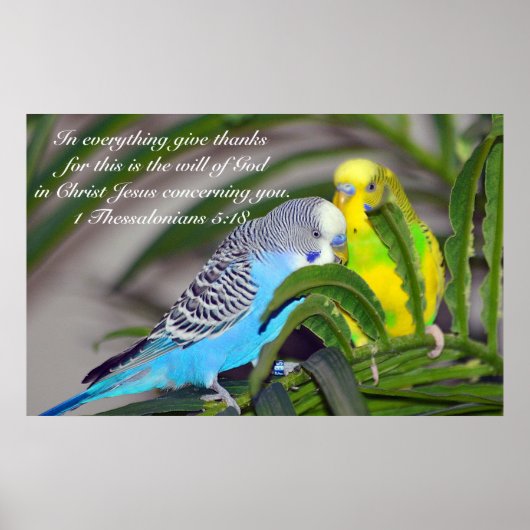 Poster Tout rend grâce (Devant)