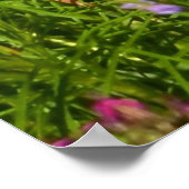 Poster toutes sortes de belles fleurs (Coin)