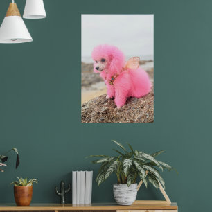 POSTER TOUTOU CANICHE ROSE JOUET SUR LA PLAGE