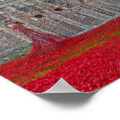 Poster Tower Of London Poppies Red Poppy (Coin)