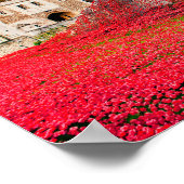Poster Tower Of London Poppies Red Poppy (Coin)