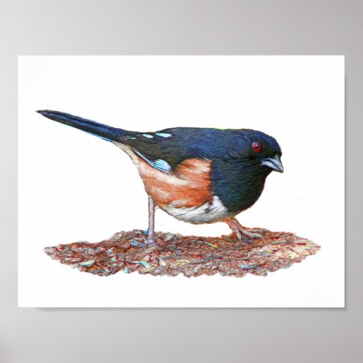 Poster Towhee (Devant)