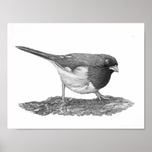 Poster Towhee orientale