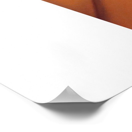 Poster Trace de la réunion (Coin)