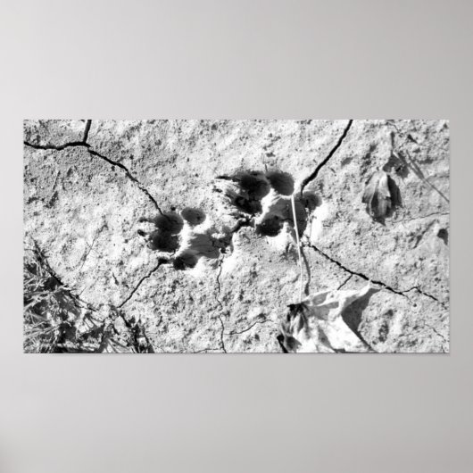 Poster Traces (Devant)