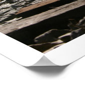 Poster Traces (Coin)